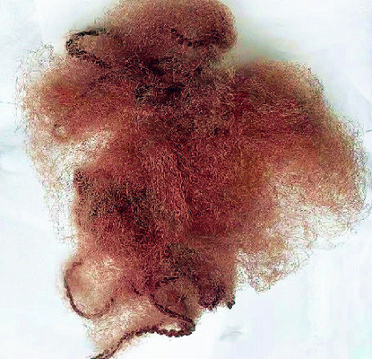 As redes de cabelo invisíveis de nylon de Brown 14&quot; redes de cabelo descartáveis engrenam
