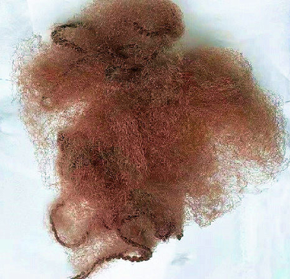 Fixação elástica 18&quot; 19&quot; 21&quot; 22&quot; 24&quot; do cabelo da peruca de Mesh Invisible Hair Net For da borda